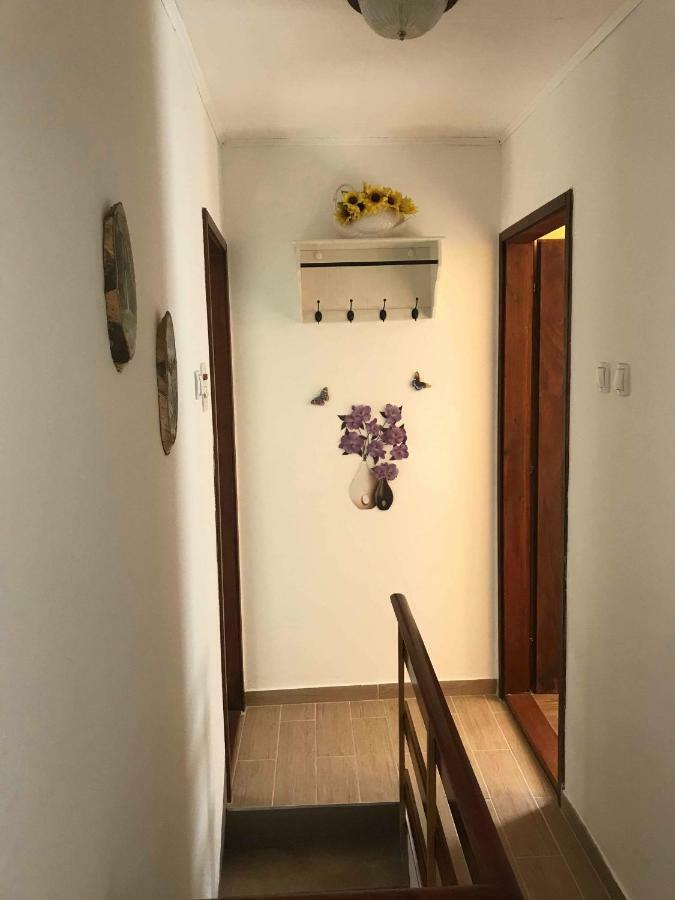 Apartma Evi Zaga Exteriér fotografie