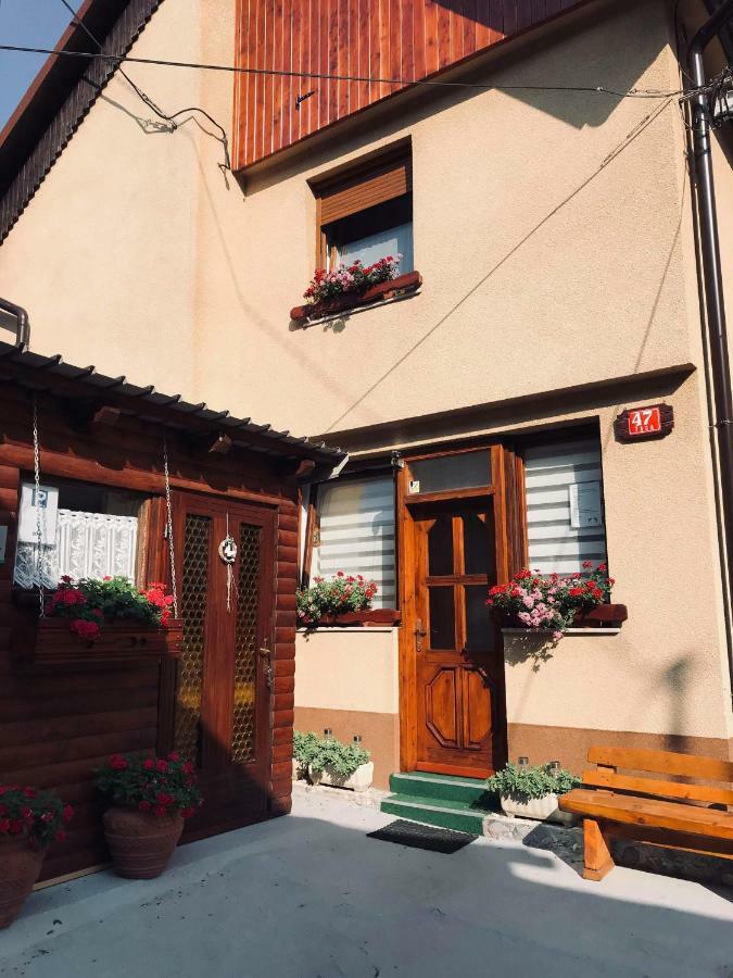 Apartma Evi Zaga Exteriér fotografie
