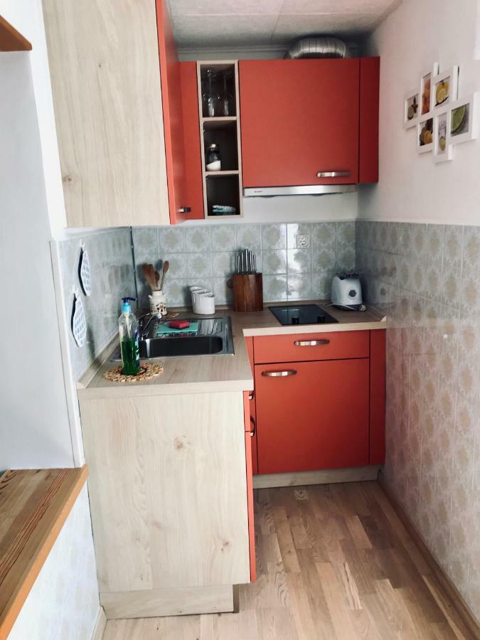 Apartmán Apartma Evi Zaga Exteriér fotografie